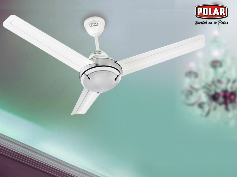 Decorate your Home with Modern and Efficient Ceiling Fans
