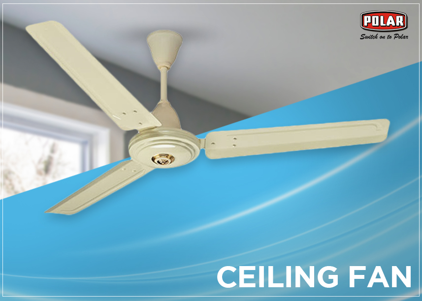 Ceiling Fan Directions During Winter And Summer
